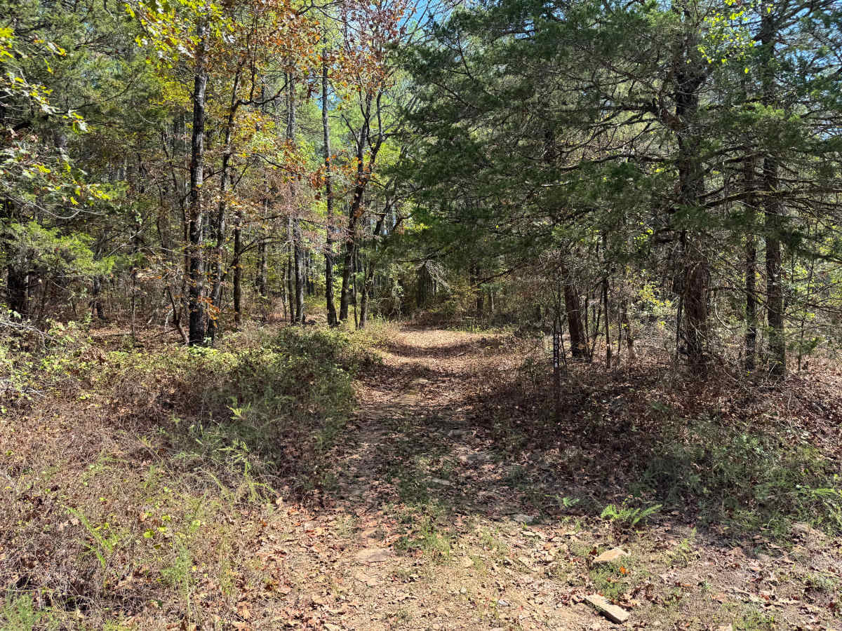 FS 96012A trail photo
