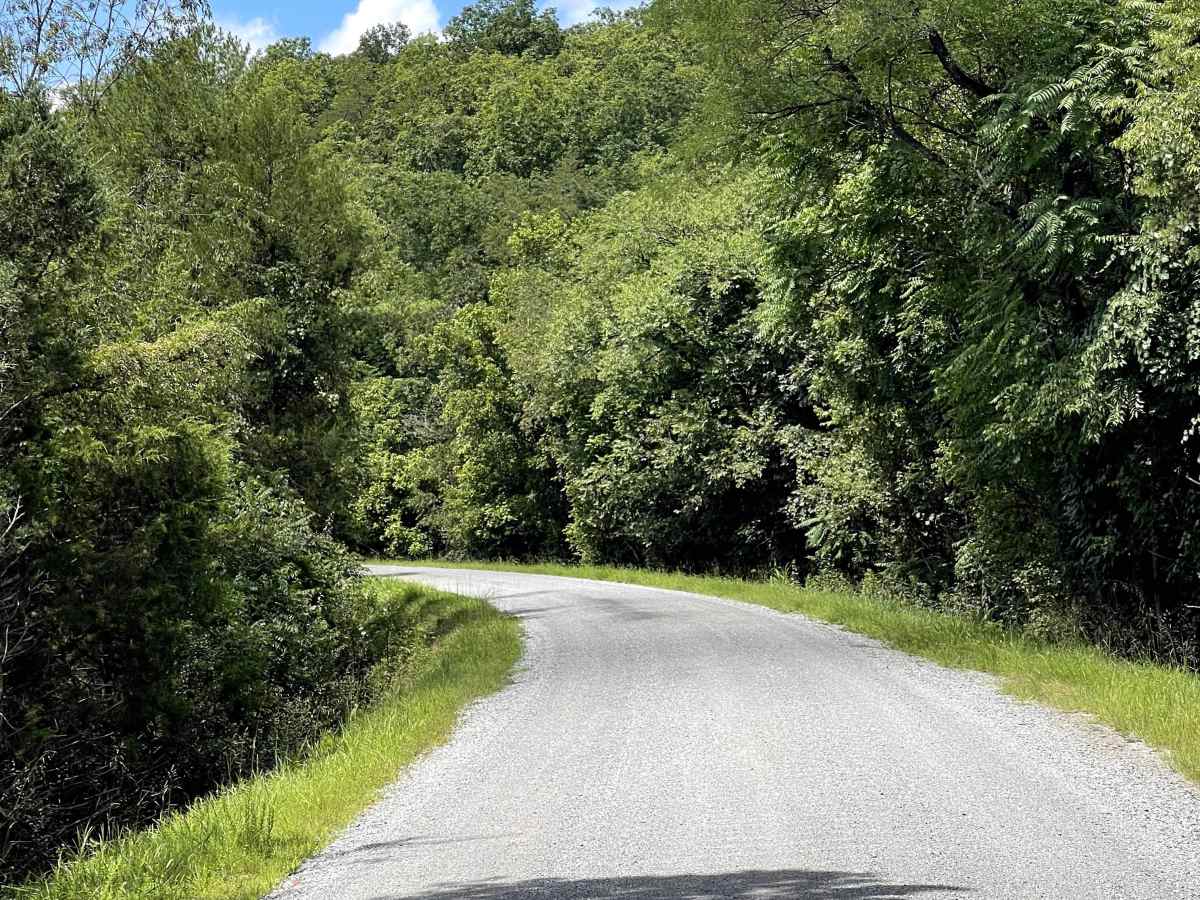 Route 818 photo 3