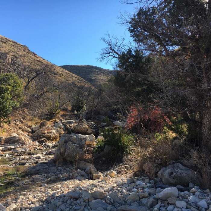 Near Sitting Bull Falls Loop Trail