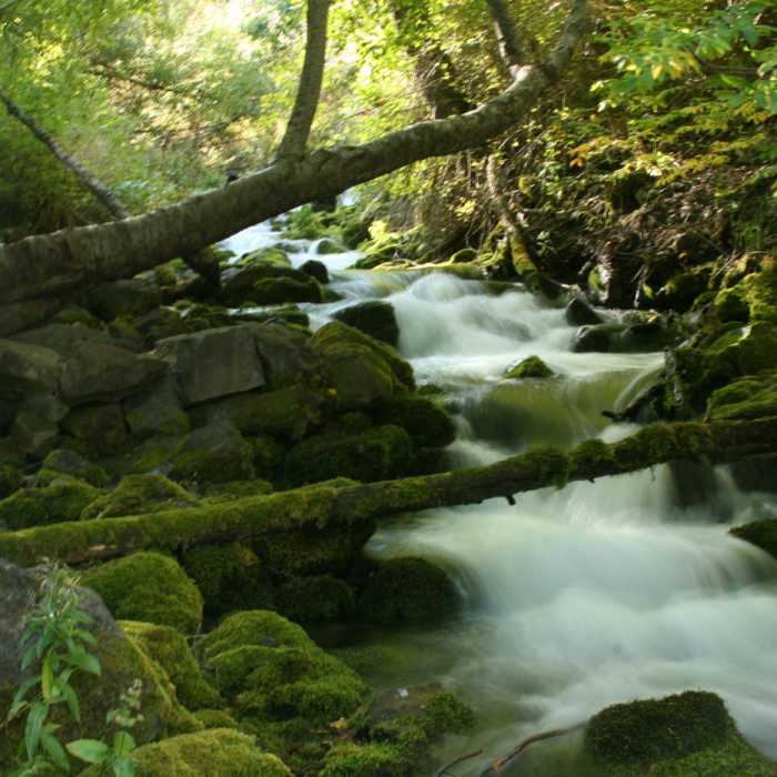 Near Mill Hollow Trail