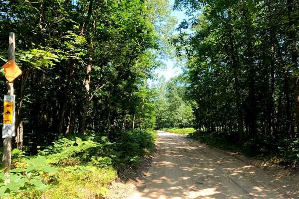 North Missaukee Route & MCCCT Trail/Africa Loop