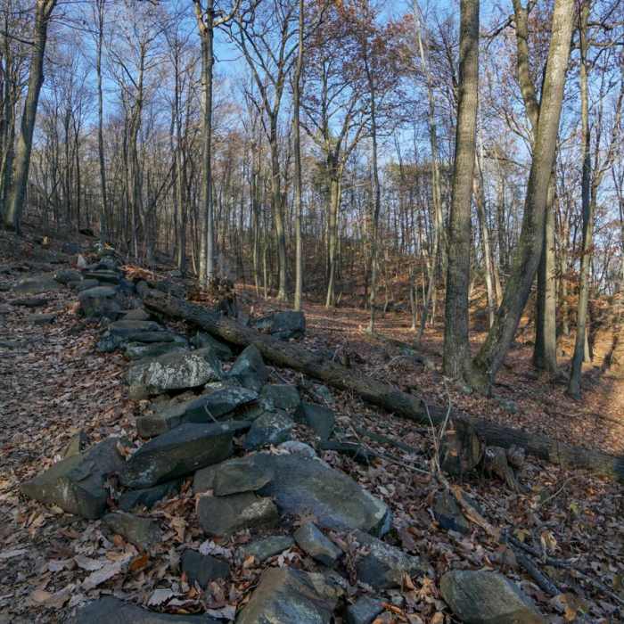 Near Turkey Mountain