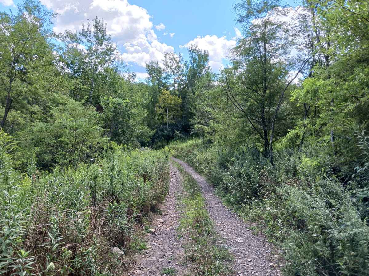 Valley View - Rock Run Recreation Area photo 5
