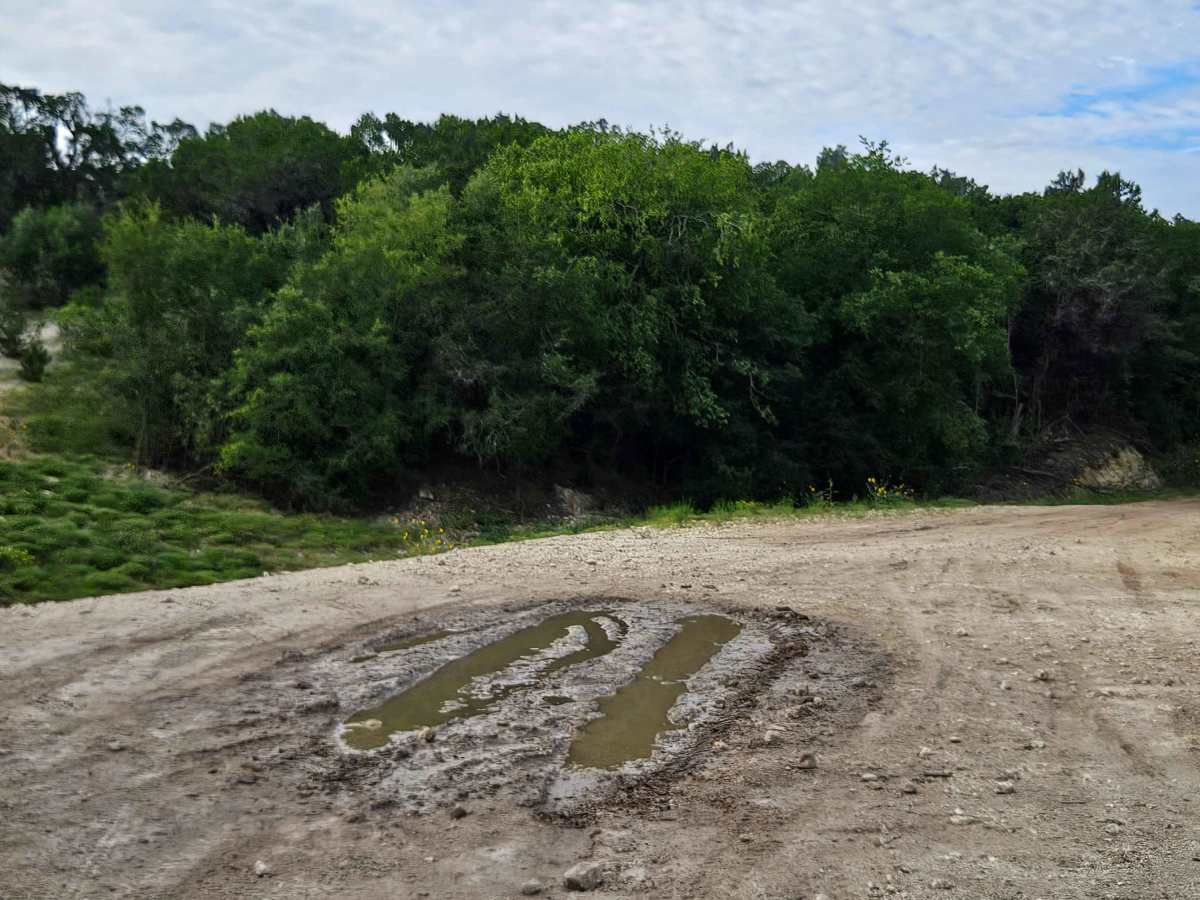 McCrae Hill photo 6