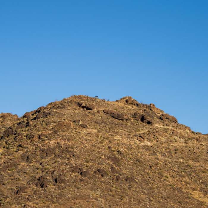 Near River Mountain Trail