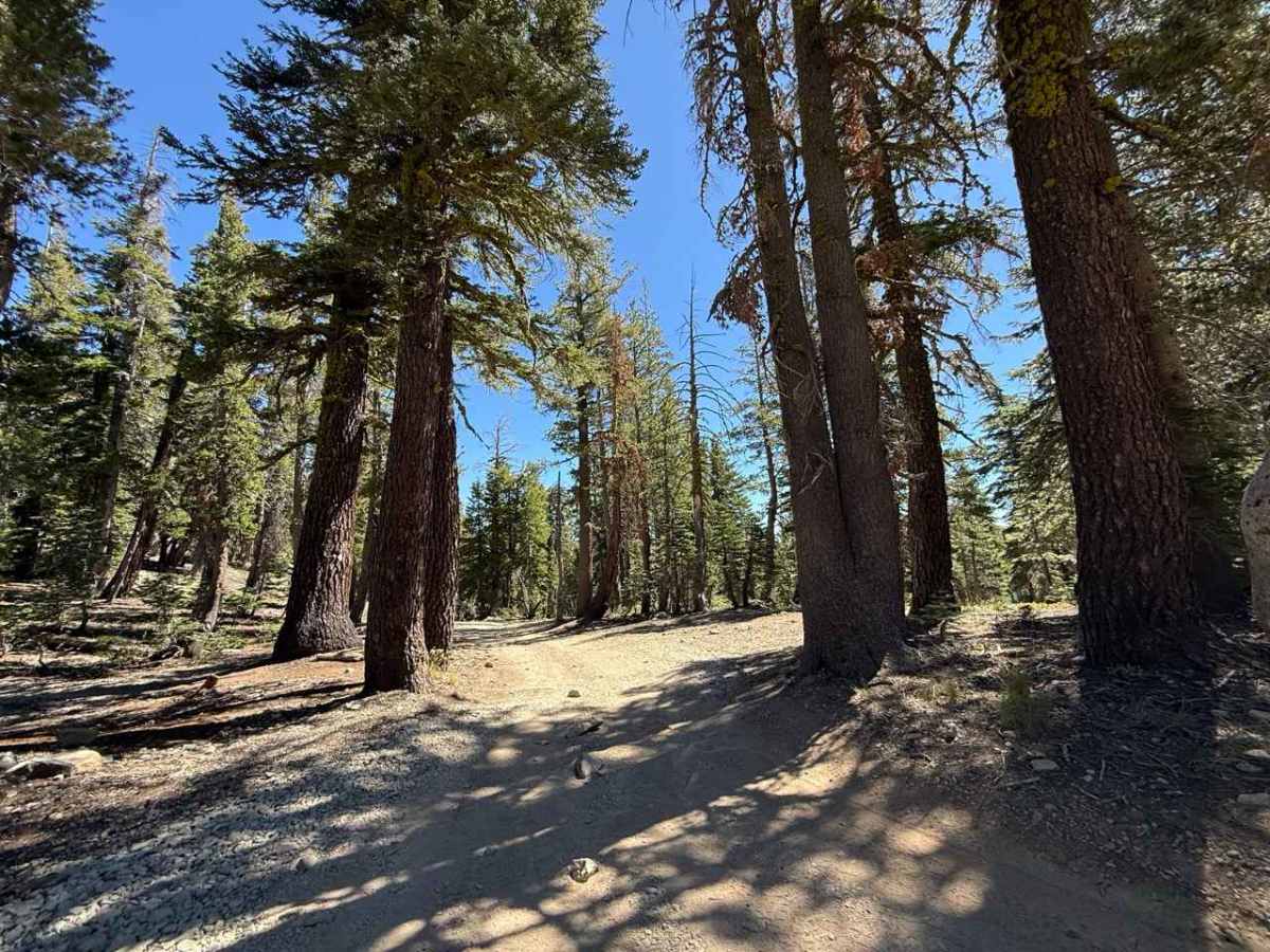 Lost Lakes Road - FS 31070 photo 4
