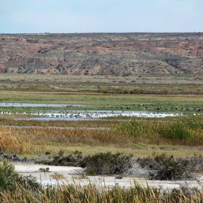 Near Bitter Lake Wildlife Viewing Trail