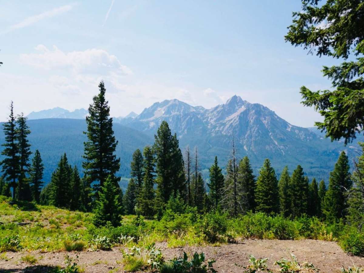 Elk Mountain Trail photo 3