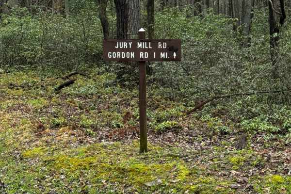 Jury Mill Road
