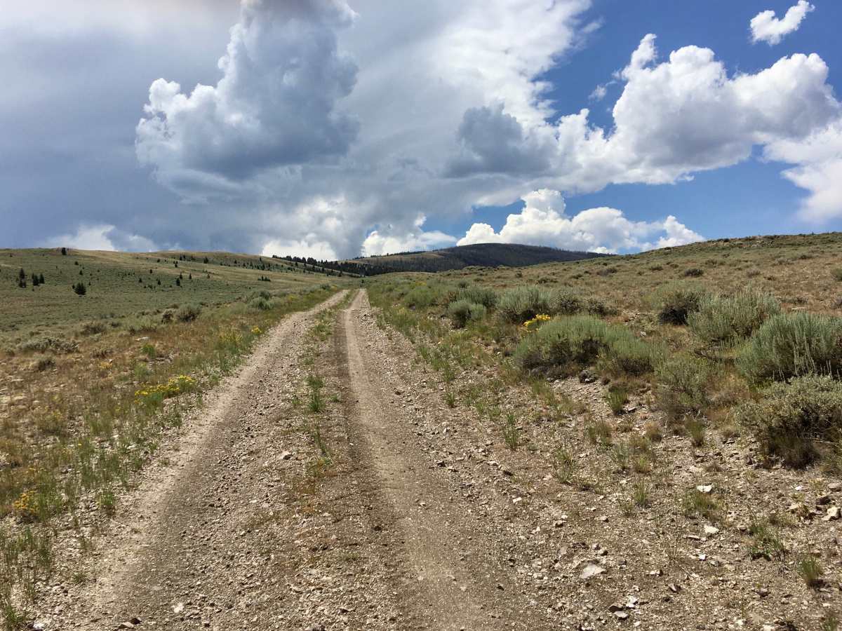 Everson Creek Road photo 5