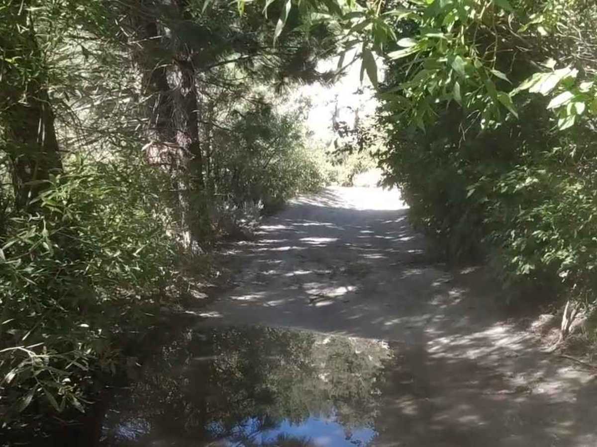 Kings Canyon Road photo 3