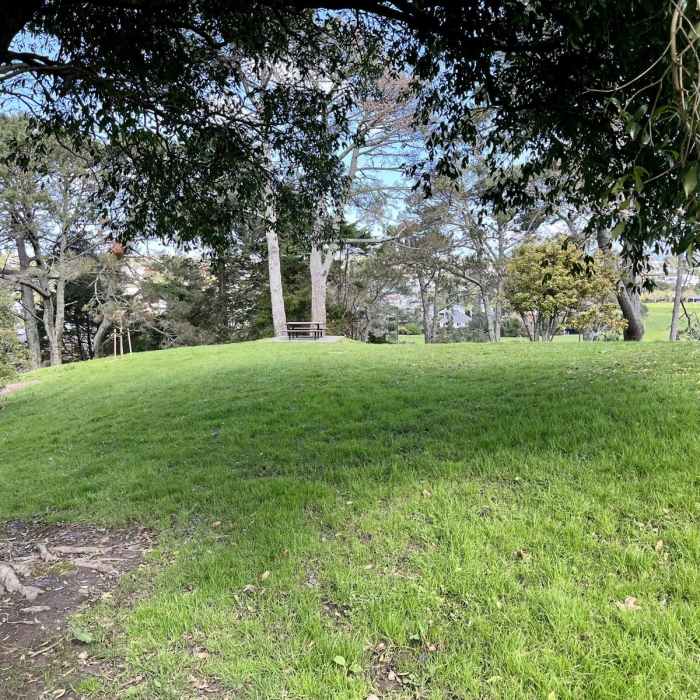 Near Cox's Bay Reserve Loop Near Cox's Bay Reserve Loop