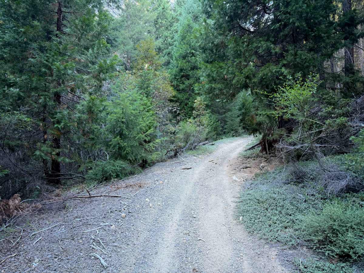 McCall Creek OHV #49  photo 2