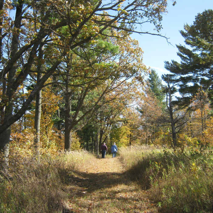 Near Tamarac Lake Loop Trail