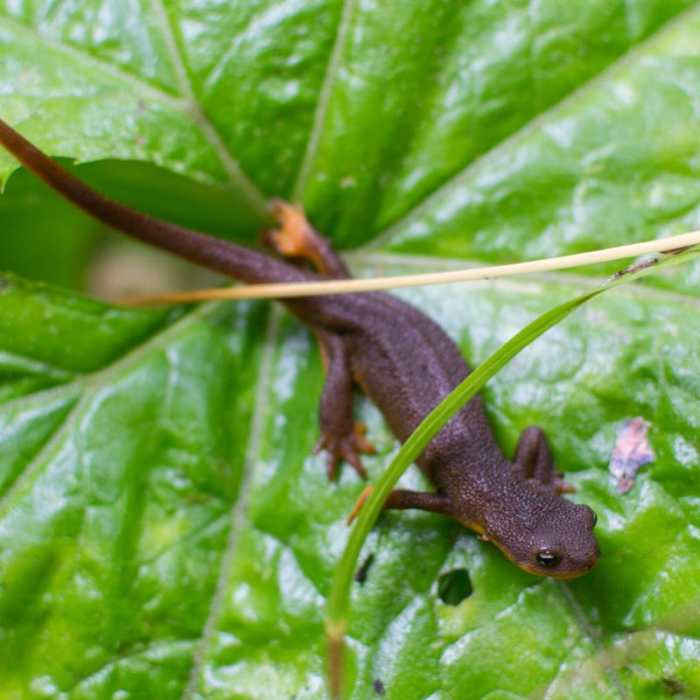 Near Riverside Trail Hike