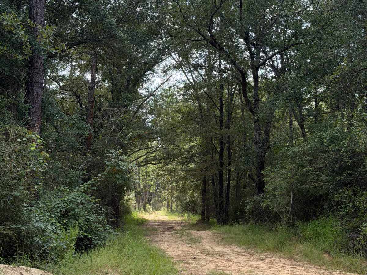 Blackwater River R74 photo 3