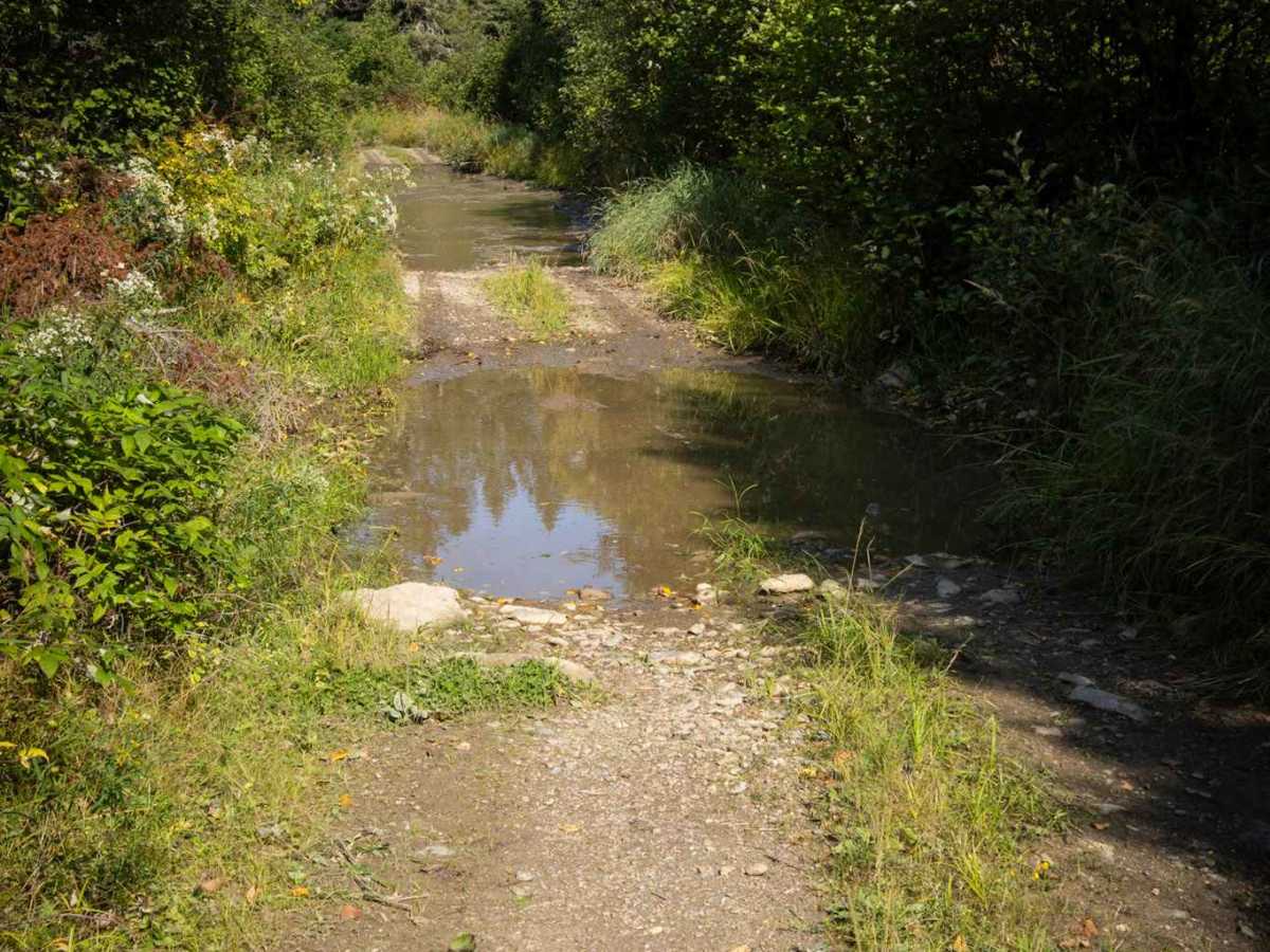 Whitebirch Road A - Trail 22 photo 5