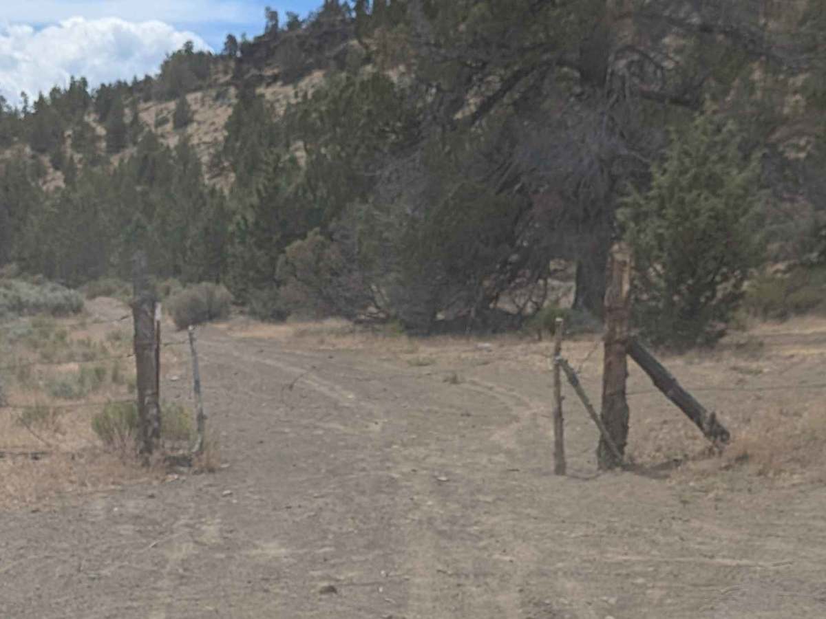 Cline Buttes OHV Trail 23 photo 2