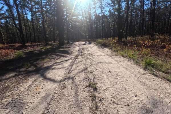 Birches Road