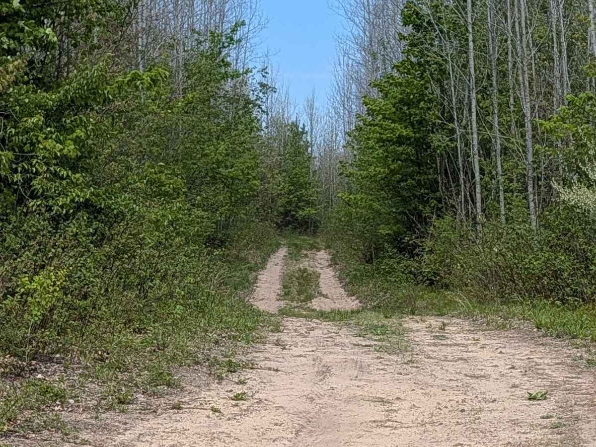 West Boehm Road photo 2