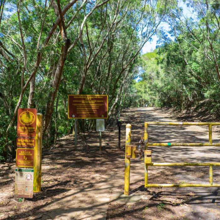 Near Wiliwilinui Trail