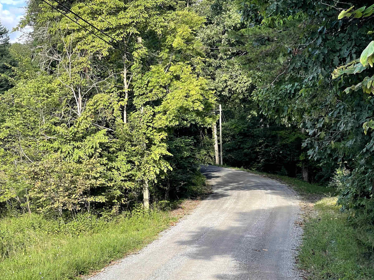 Mount Moriah Road  photo 3