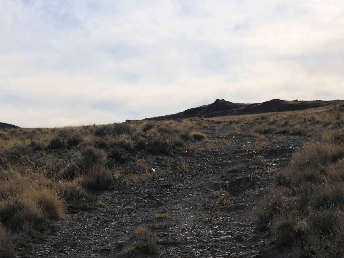 TC02218 photo 4