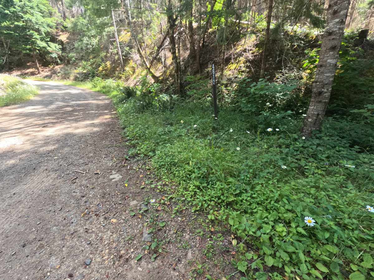 Bluff - FS 4612000 photo 4