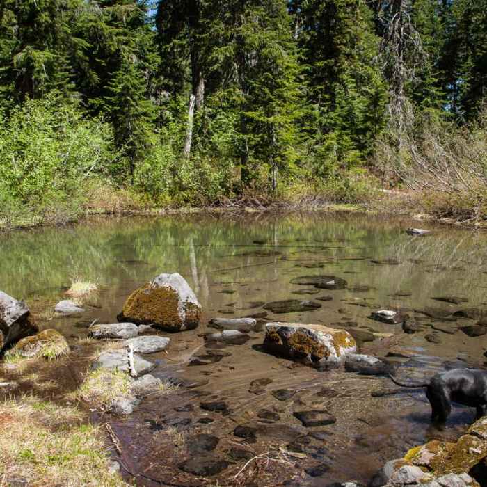 Near Whetstone Mountain Hike