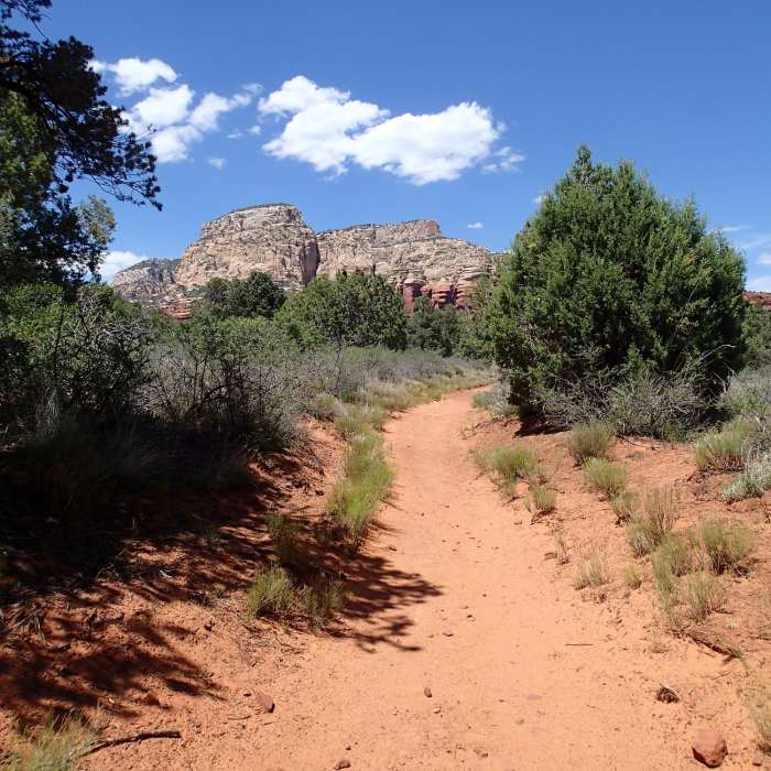 Long Canyon Trail traverses a beautiful tread, allowing you to focus more on the views and less on your feet. Near Long Canyon Out and Back
