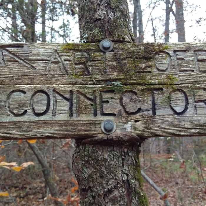 Art Loeb Connector! Near Art Loeb & North Slope Loop