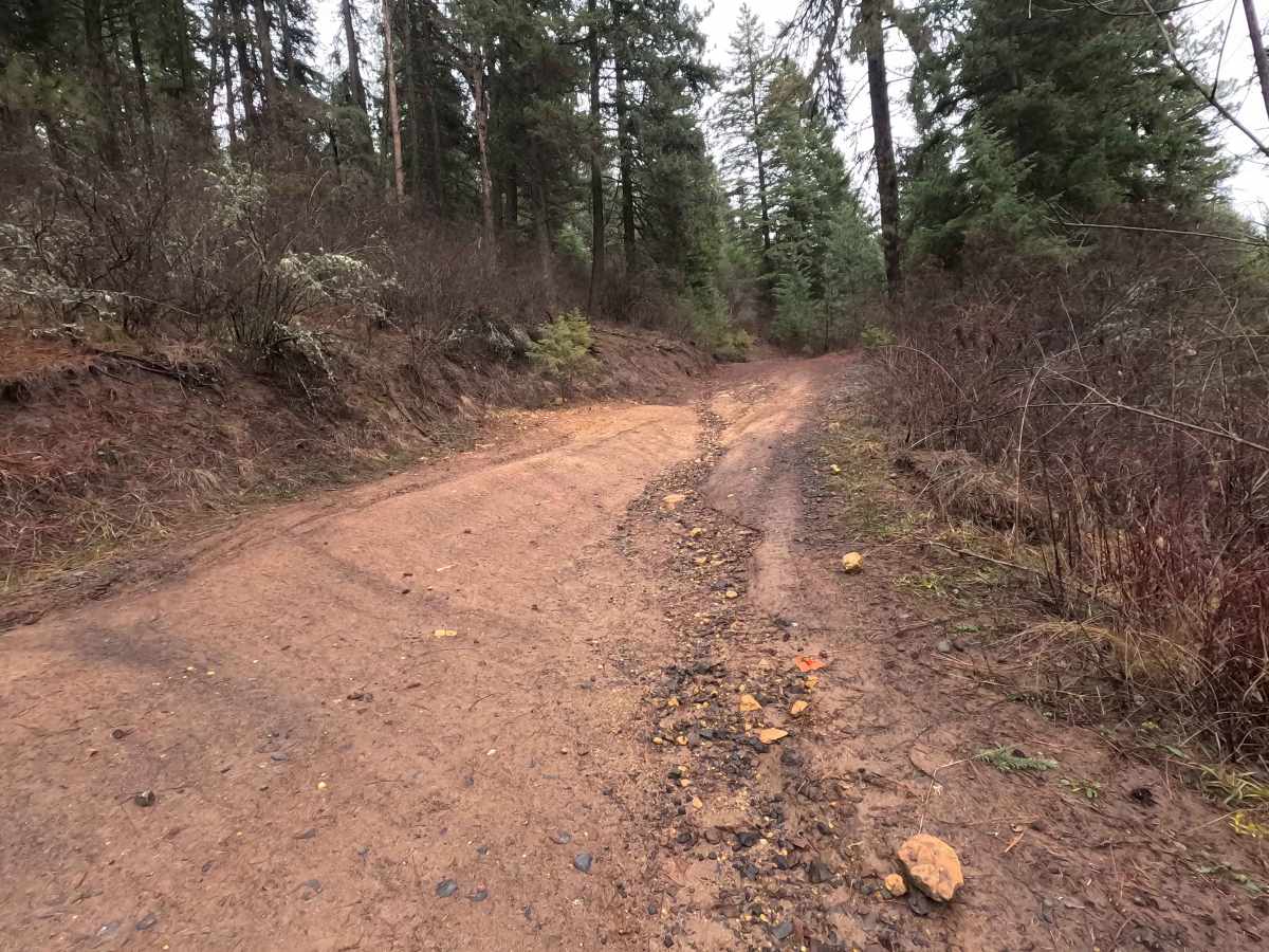 Potato Hill Road - Trail 783 photo 3