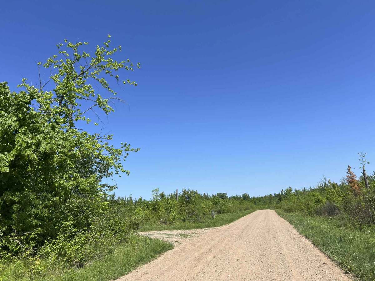 Diamond Roof Road - FS 2123 photo 4