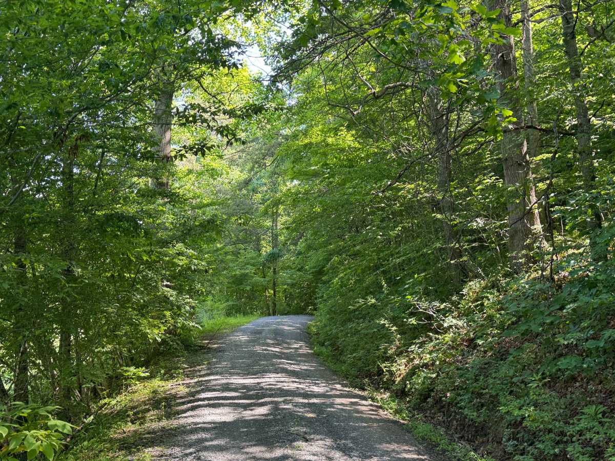 Baker Branch - FS 614 photo 2