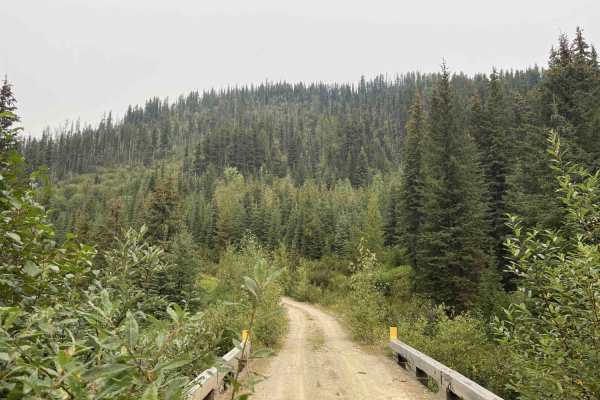 Eureka Road