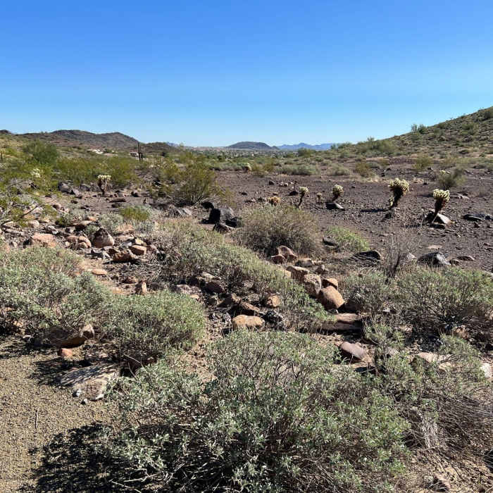 Near Ridgeline Summit Trail