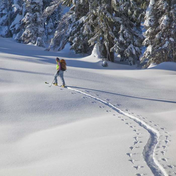 Near Brown Mountain Hike via Great Meadow
