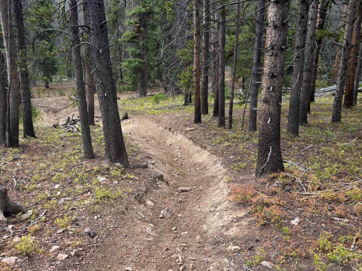 Fuller Trail photo 2