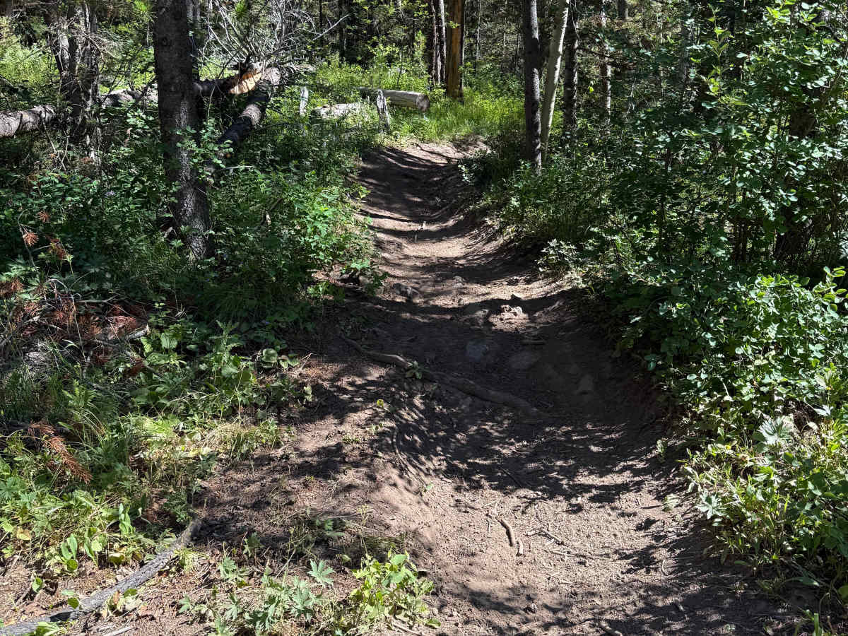 Canyon Creek North Fork - FS 227 photo 5