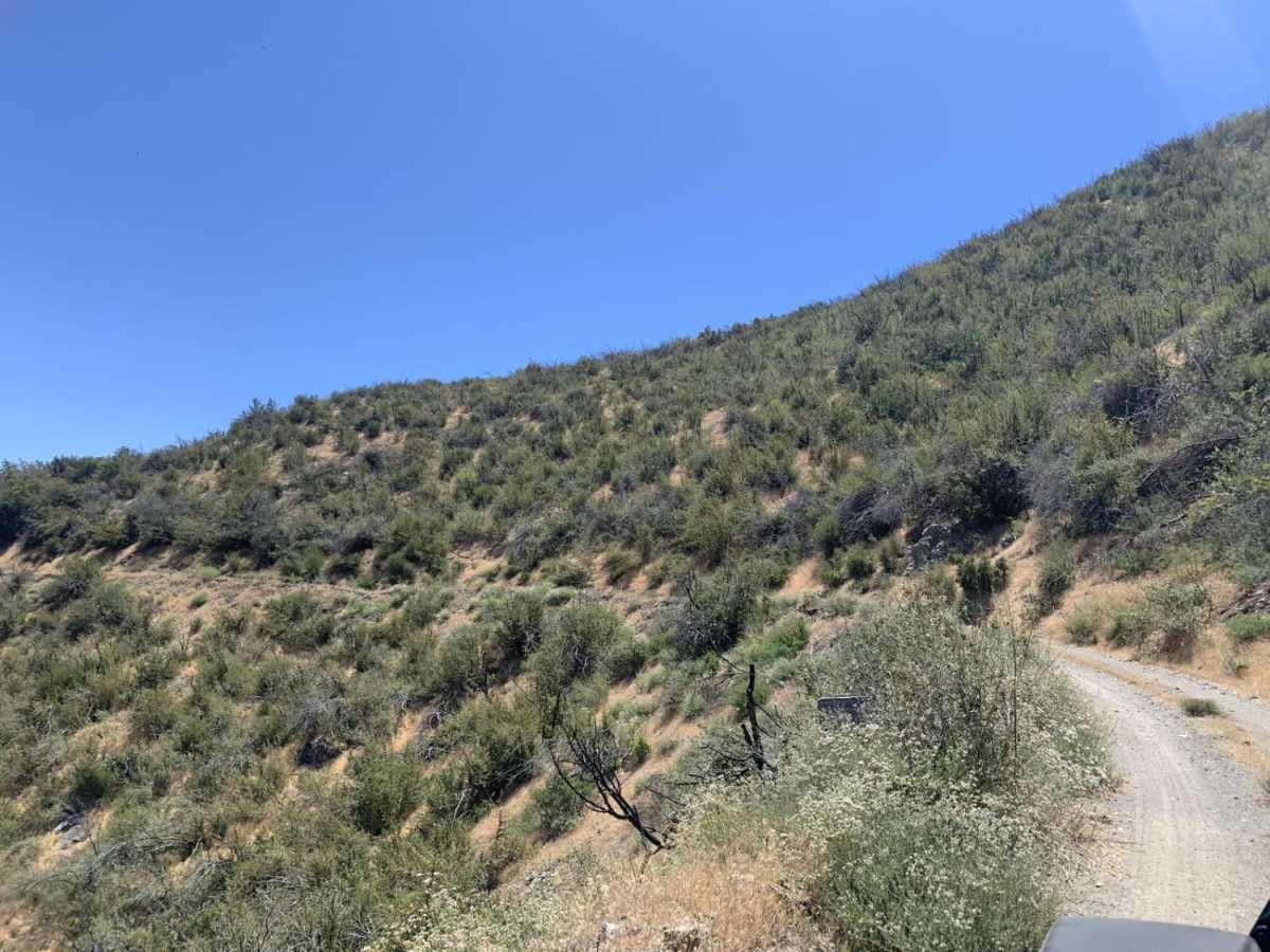 Sharpless Ranch photo 5