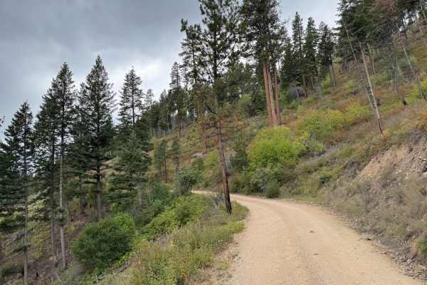 Upper Pierce Creek