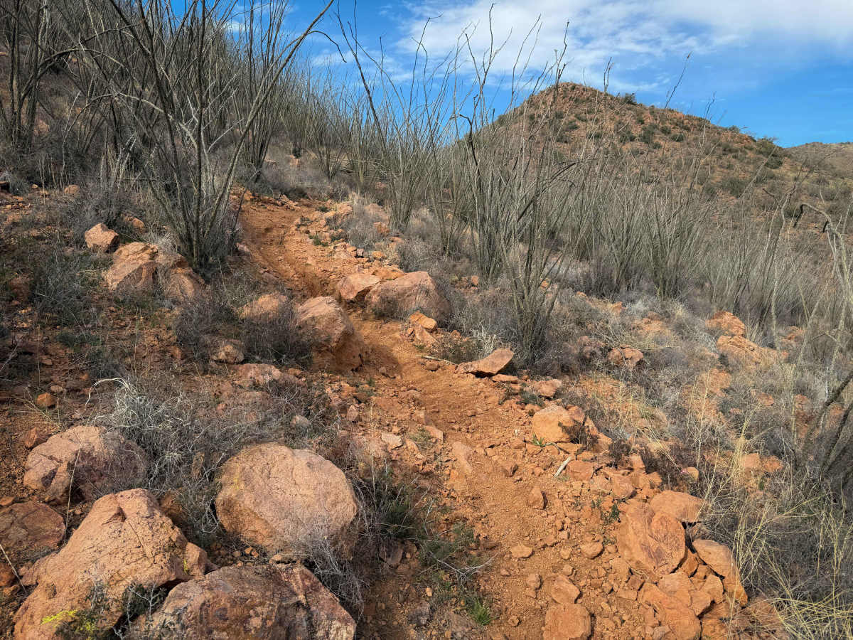 483 trail photo