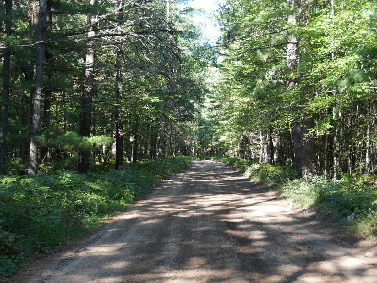 West Rollway Road photo 6