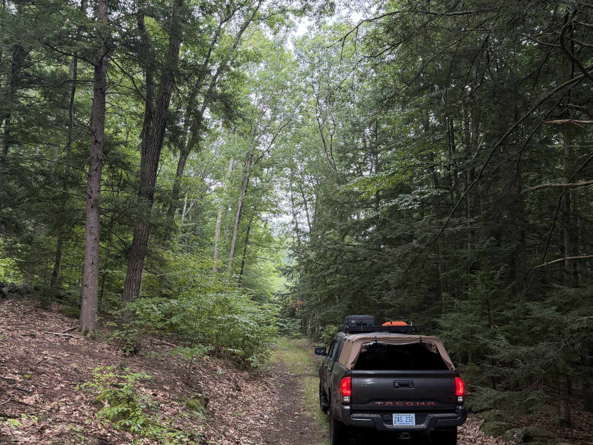 Bound Tree Road photo 4