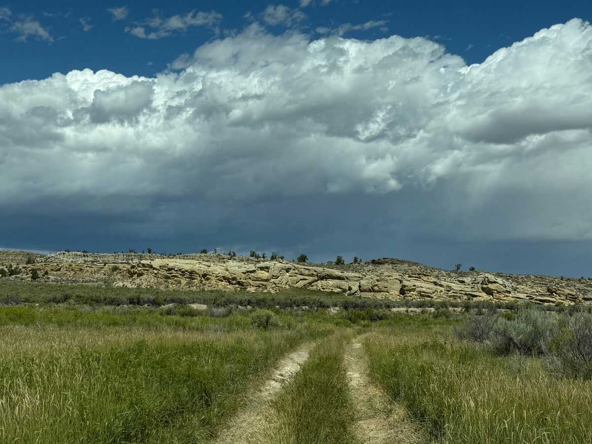 Side By Side Trail photo 5