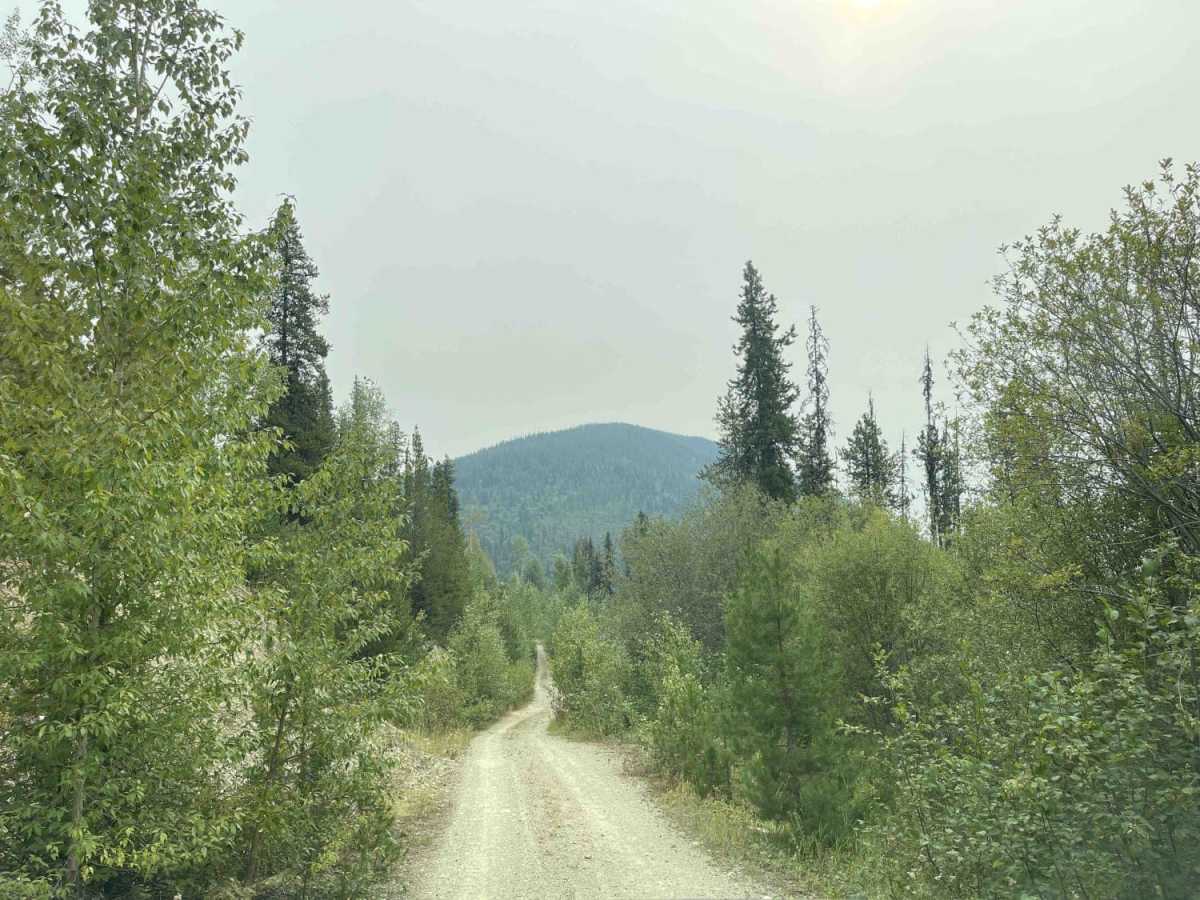 Eureka Road photo 3