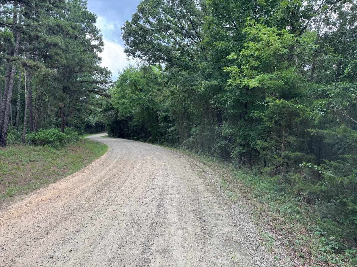 County Road 3706 photo 2