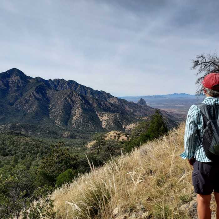 Near Dutch John Spring Trail
