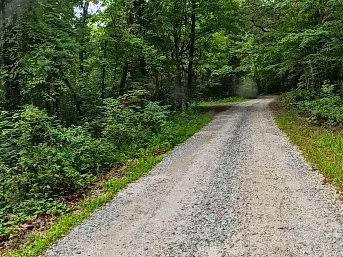 Dockey Lake Recreation Area Trail photo 5