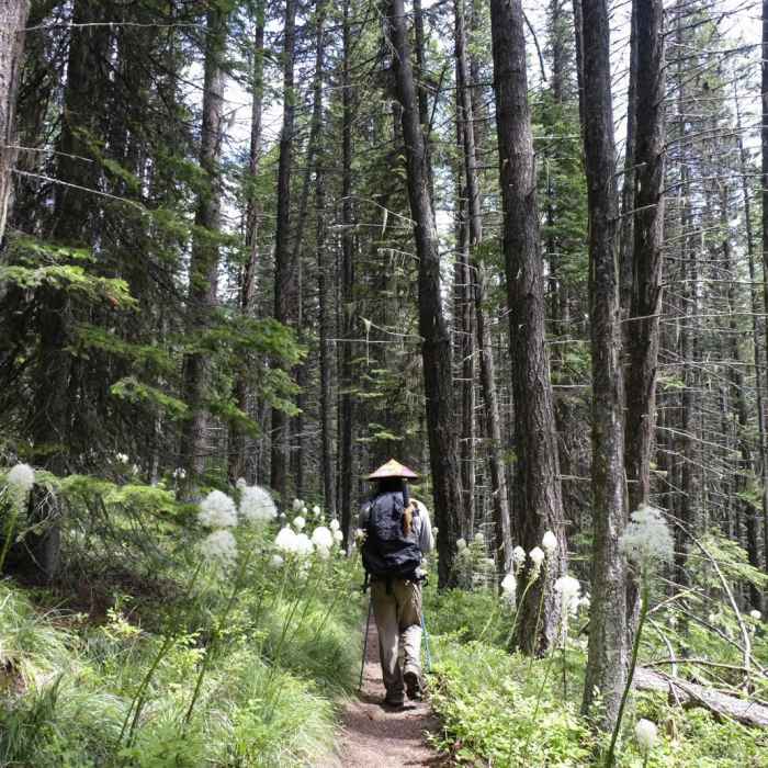 Near Quartz Lake Loop